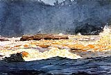 Fishing Paintings - Fishing the Rapids Saguenay by Winslow Homer